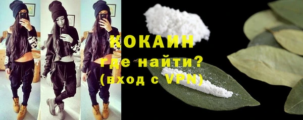 гашик Зеленокумск