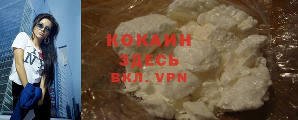 гашик Зеленокумск