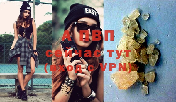 гашик Зеленокумск