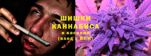гашик Зеленокумск