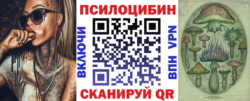 Галлюциногенные грибы Cubensis  Купить  Дегтярск 